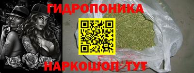 крисы Нарткала