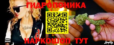 гидропоника Можайск
