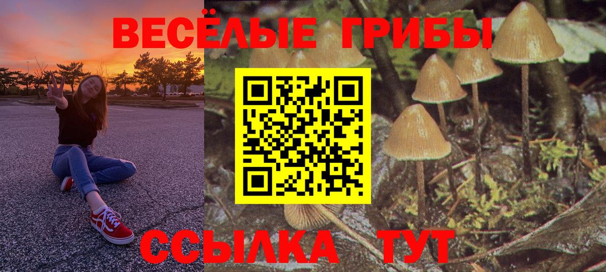 Конопля  Кокаин  ГАШИШ  Купить наркотик  Мефедрон кристаллы  Тула  Вход с VPN 