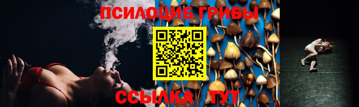 магазин продажи наркотиков  Вход с VPN  Тула  Псилоцибиновые грибы GOLDEN TEACHER 